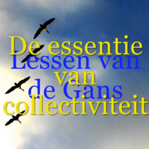 Lessen van de gans - De essentie van collectiviteit